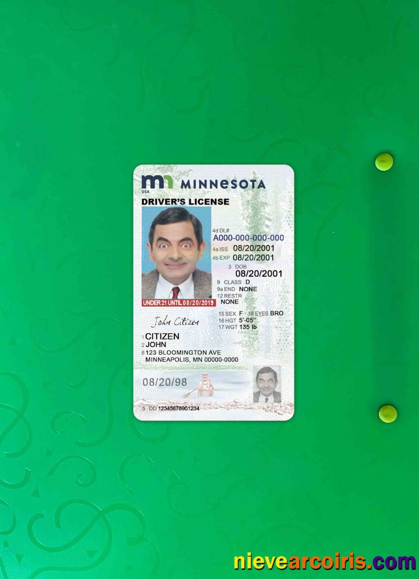 USA Minnesota driving license photolook